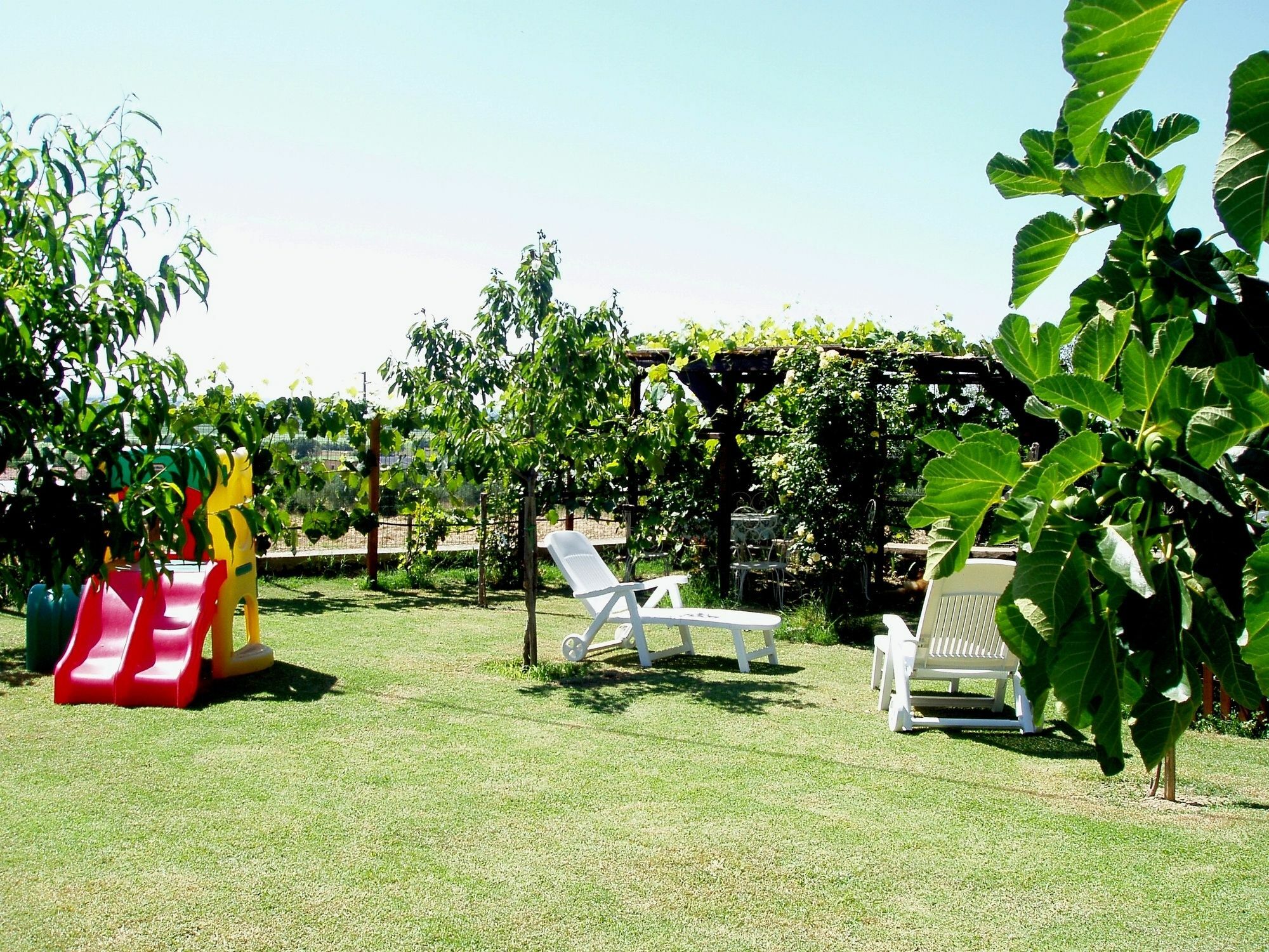 B&B Gabri กอร์โตนา ภายนอก รูปภาพ