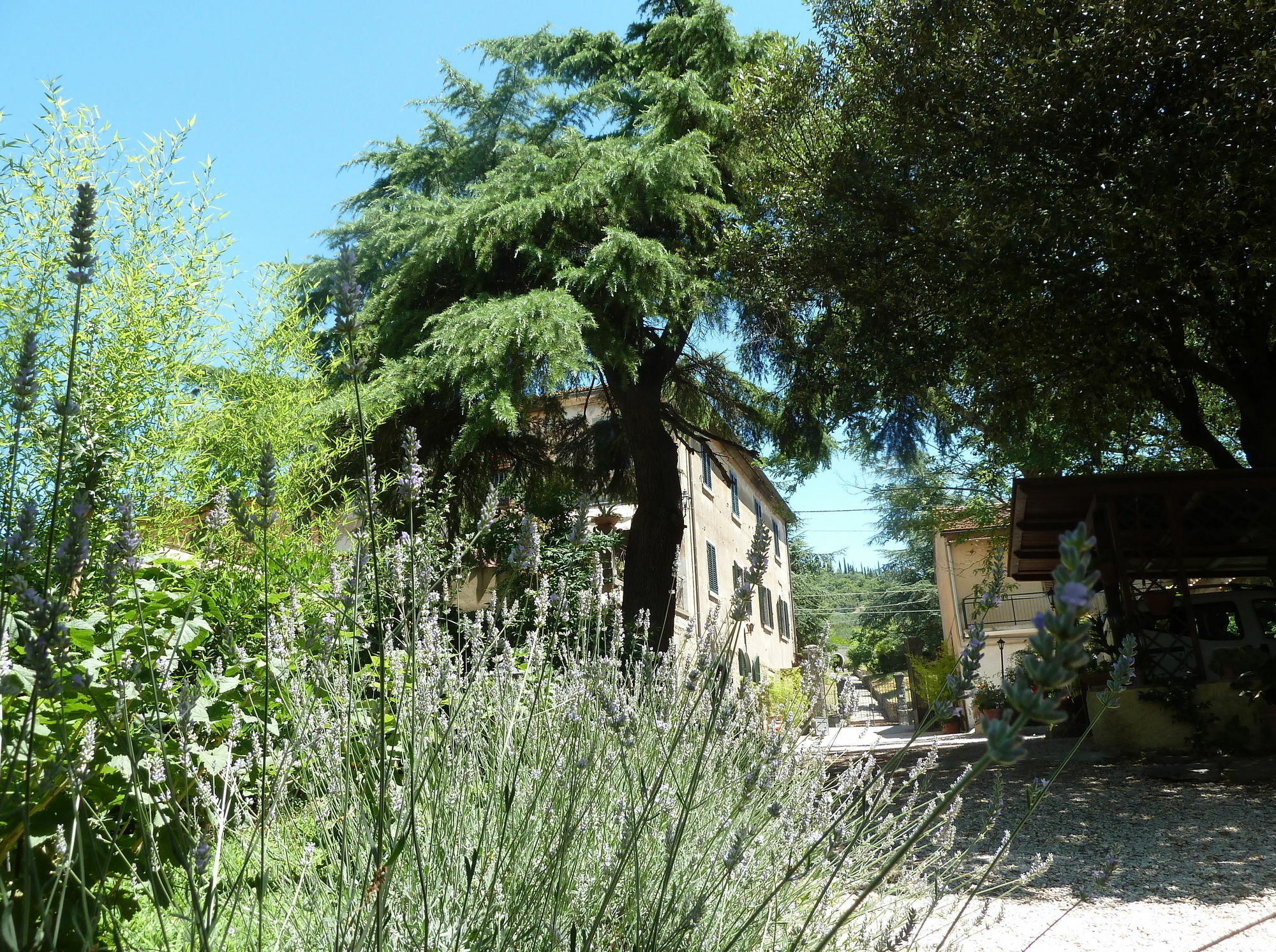 B&B Gabri กอร์โตนา ภายนอก รูปภาพ